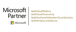 Microsoft Gold EN