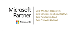 Microsoft Gold FR